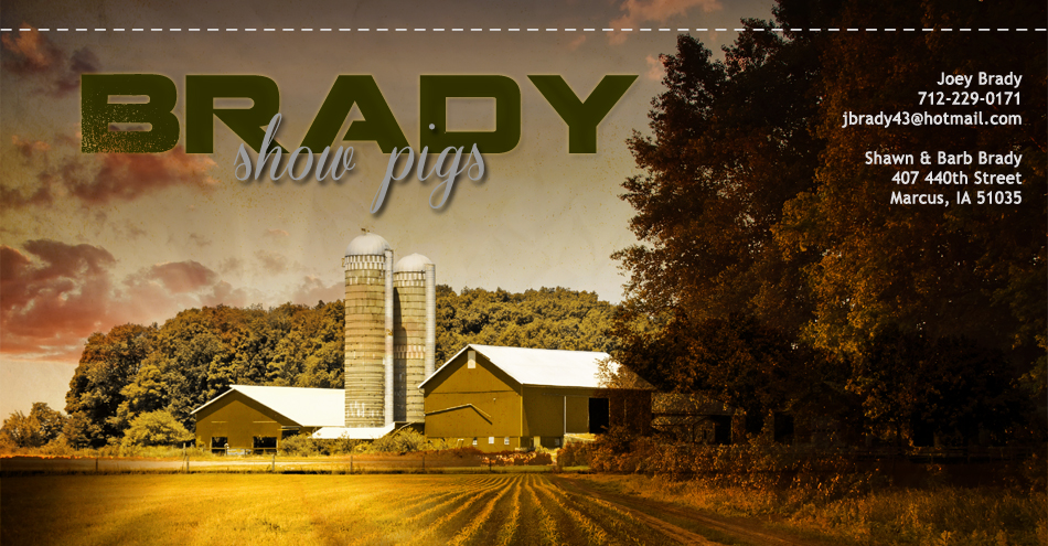 Brady Show Pigs